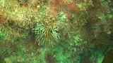 2011-06-15 16-58-55 UK_05